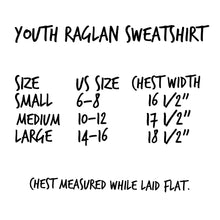 Load image into Gallery viewer, Embrace Differences. Raglan Sweatshirt (toddler + youth)